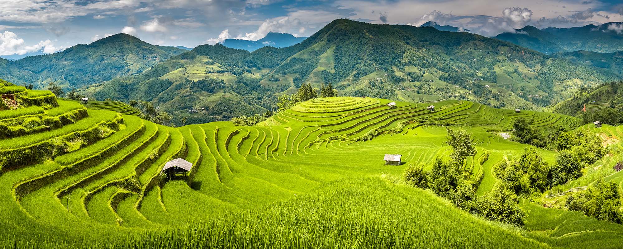 Shutterstock 1496883563