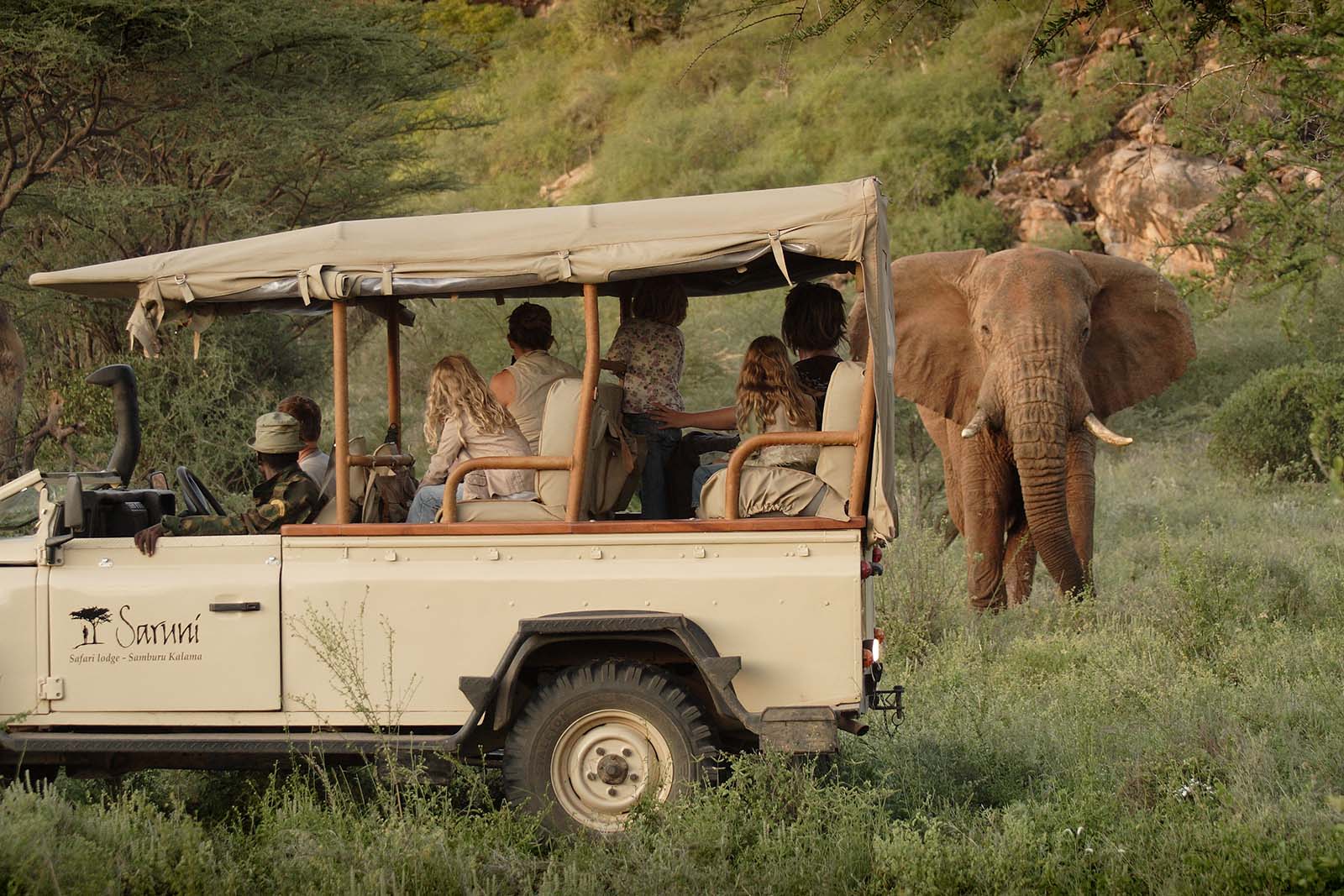 KENIA - der Safari Klassiker