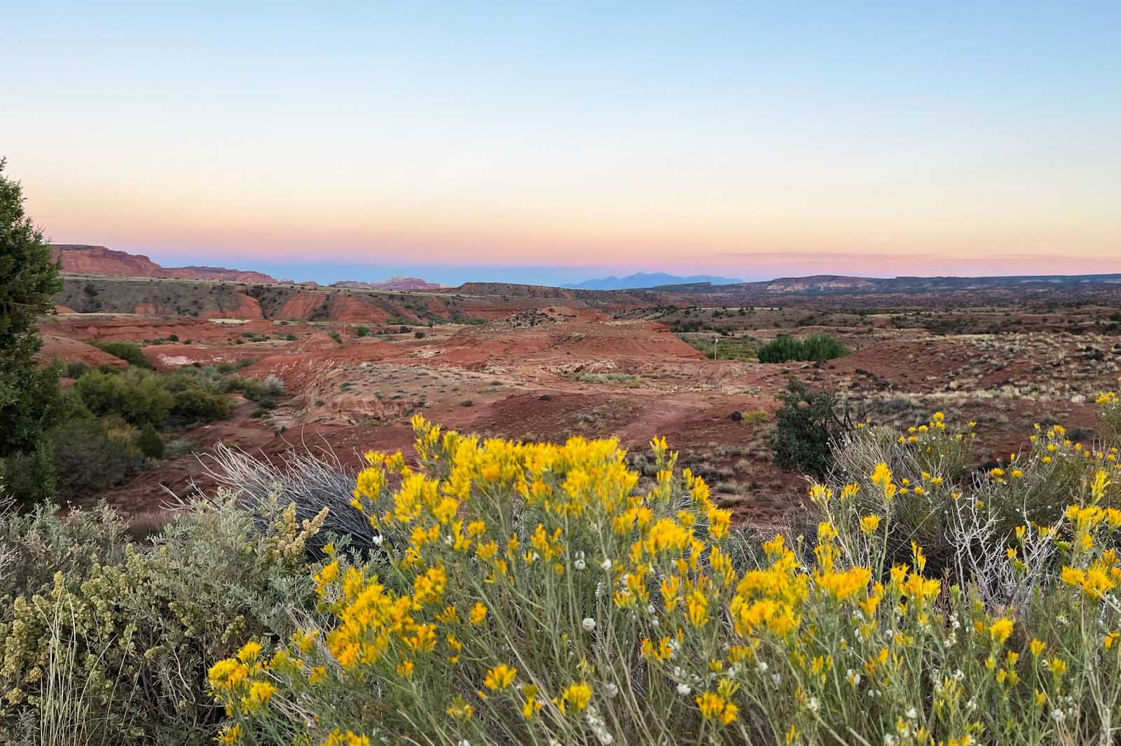 Capitol Reef Nationalpark Landschaft Gelbe Blumen.cr4032x2685 0x258