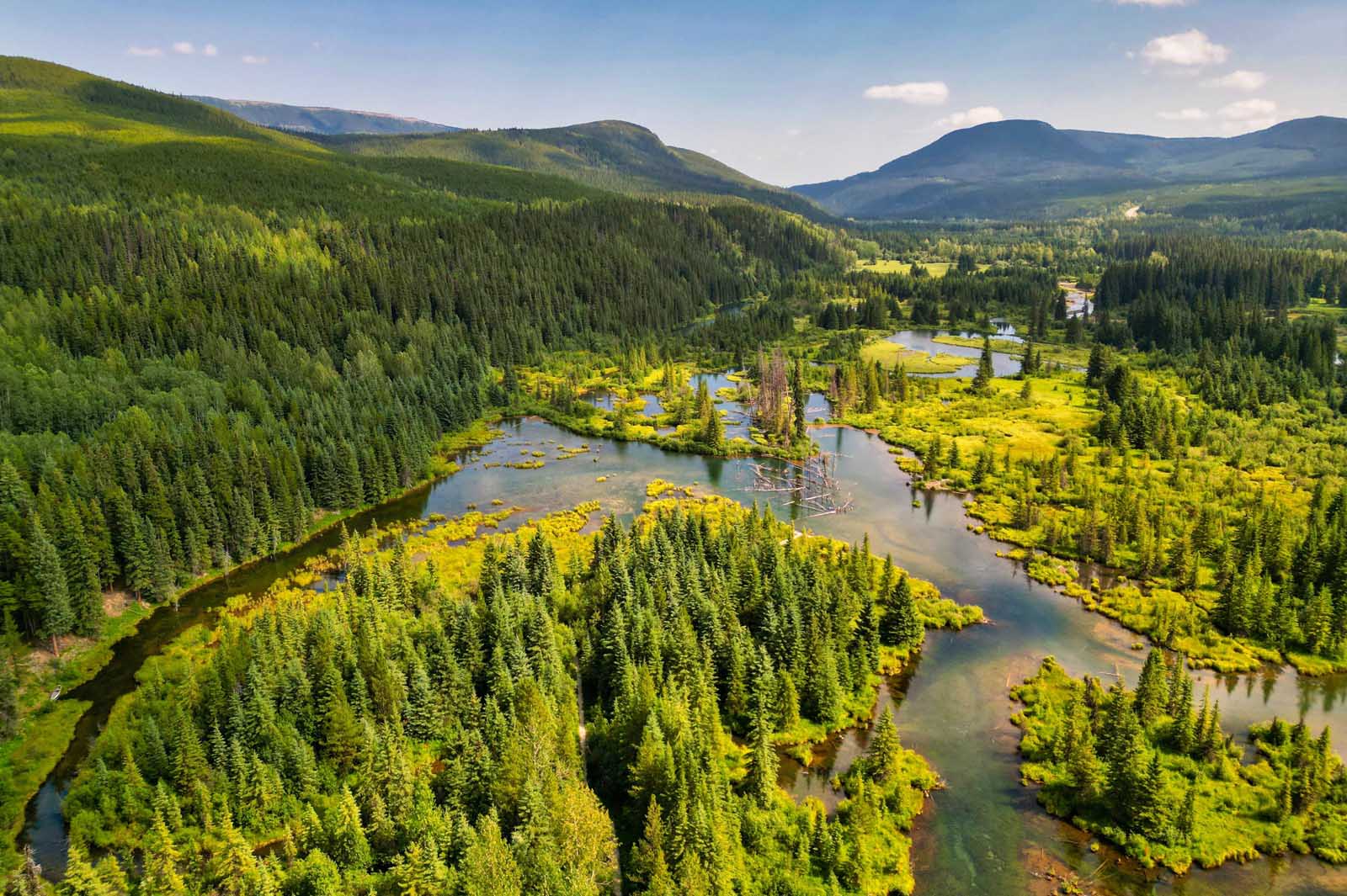 Tumbler Ridge Global Geopark Bull Moose Flats.cr4032x2685 0x233